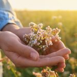 sleep-remedy-dubbed-‘nature’s-valium’-sparks-debate-among-experts