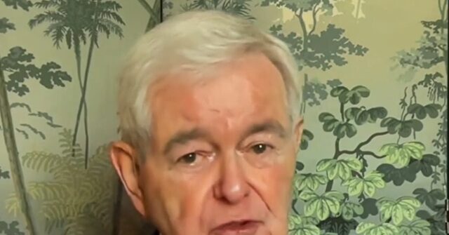 gingrich:-if-iranians-had-their-way,-threat-would-be-nuclear-weapons-taking-out-a-us.-city