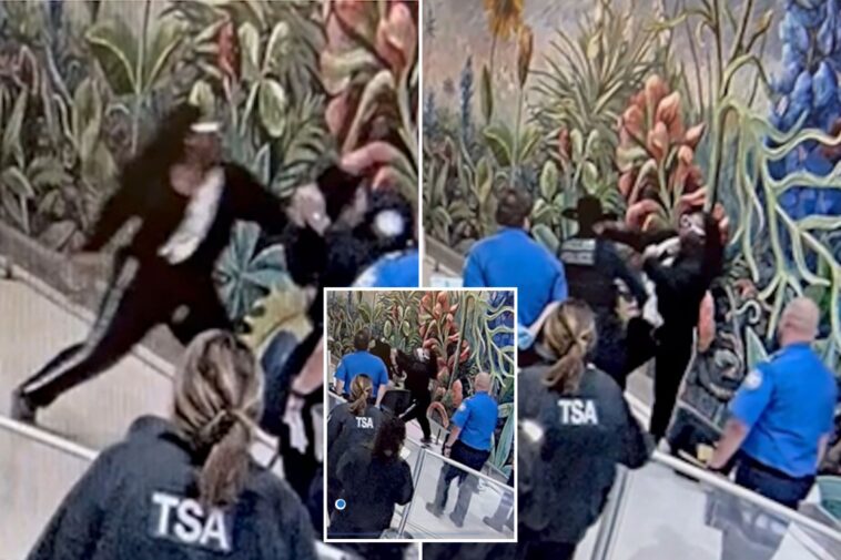 california-traveler-accused-of-attacking-tsa-officers,-seriously-injuring-dallas-cop-at-airport