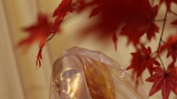 oscars-2026:-hollywood-celebrates-itself-amid-‘existential-crisis,’-looming-strikes,-and-steep-decline