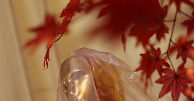 oscars-2026:-hollywood-celebrates-itself-amid-‘existential-crisis,’-looming-strikes,-and-steep-decline