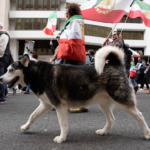 with-dogs,-dance-and-uncovered-hair,-iranians-defy-‘unholy-alliance’-of-socialists,-radicals:-‘hypocrites!’