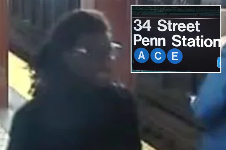 straphanger,-55,-dies-after-madman-knocks-him-out-at-nyc’s-penn-station:-sources