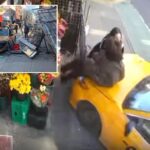 runaway-nyc-cab-plows-into-2-women-outside-bodega-in-heart-pounding-caught-on-camera-crash
