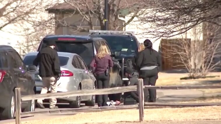 11-year-old-accused-of-premeditated-murder-in-brother’s-death-can’t-be-tried-as-adult,-former-da-says