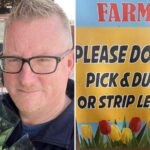 california-farmer-unleashes-on-‘feral’-tiktokers-after-his-famous-tulip-field-was-destroyed