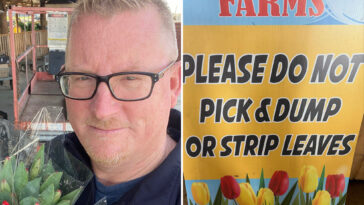 california-farmer-unleashes-on-‘feral’-tiktokers-after-his-famous-tulip-field-was-destroyed