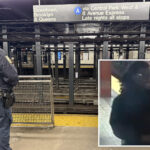 suspect-in-custody-for-punching-rider-who-was-found-dead-at-nyc’s-penn-station:-sources