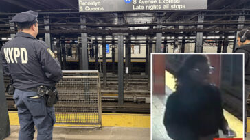 suspect-in-custody-for-punching-rider-who-was-found-dead-at-nyc’s-penn-station:-sources