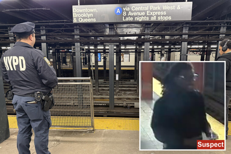suspect-in-custody-for-punching-rider-who-was-found-dead-at-nyc’s-penn-station:-sources