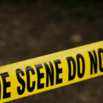 new-york-man,-55,-dead-after-being-punched-out-on-subway-platform