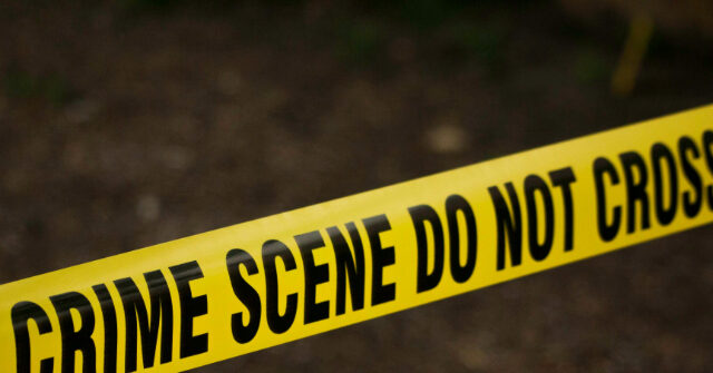 new-york-man,-55,-dead-after-being-punched-out-on-subway-platform