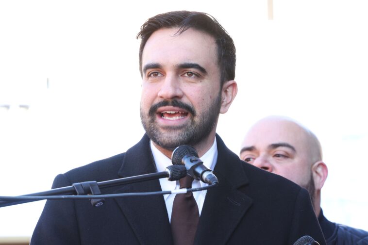 top-veteran-ex-nyc-mayoral-aide-rips-mamdani-for-‘rookie-mistakes’-over-budget