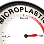 mccullough-foundation-on-the-dangers-of-microplastics-–-and-how-to-get-them-out-of-your-system