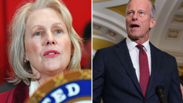 democrats-will-win-the-senate-—-not-just-the-house-—-in-november,-campaign-arm-boss-predicts