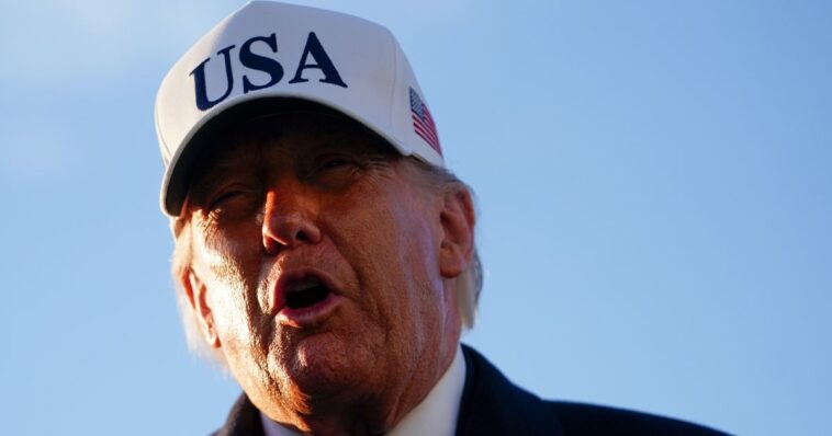 woman-arrested-for-allegedly-stealing-gun-to-kill-trump