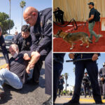 huge-show-of-force-at-the-oscars-as-cops-dominate-hollywood-amid-terror-threat