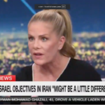 cnn-liberal-panelist-argues-billions-spent-on-defense-should-go-to-health-insurance-instead