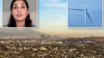 california-air-chief-hints-she-will-cave-on-plans-to-crucify-oil-and-gas-sector-that’ll-send-prices-rocketing
