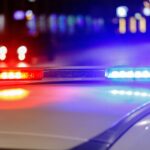 female-episcopal-minister-facing-animal-cruelty-charges-after-three-dogs-die