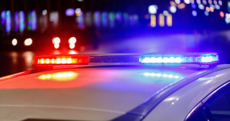 female-episcopal-minister-facing-animal-cruelty-charges-after-three-dogs-die