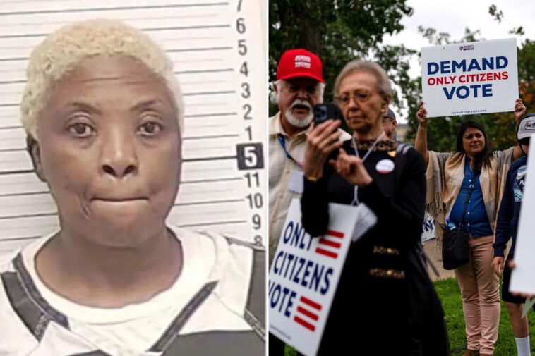 illegal-immigrants-from-africa,-india-and-china-are-voting-in-us-elections-—-here’s-how-they’re-doing-it