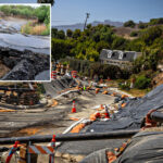 mom’s-cheap-rancho-palos-verdes-mansion-came-with-ocean-views-—-and-a-horrifying-catch