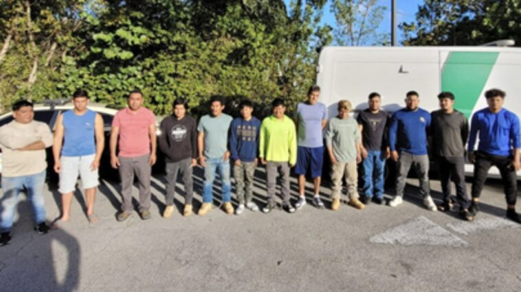 florida,-feds-arrest-15-illegal-immigrants-with-criminal-records-in-‘targeted’-operation