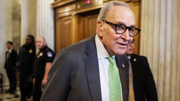 dem-senators-call-to-fund-dhs-after-voting-to-block-it-4-times-amid-shutdown-fight