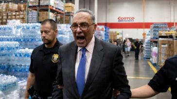 ‘jim-crow-2.0!’-shouts-chuck-schumer-while-being-escorted-out-of-costco-for-not-having-membership-card
