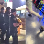 terrifying-moment-bullets-fly-on-santa-monica-pier-during-mass-brawl,-two-shot