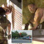 crazed-dui-suspect-scales-roof-of-sun-valley-middle-school-in-bizarre-standoff-with-lapd