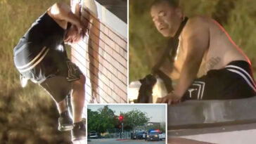 crazed-dui-suspect-scales-roof-of-sun-valley-middle-school-in-bizarre-standoff-with-lapd