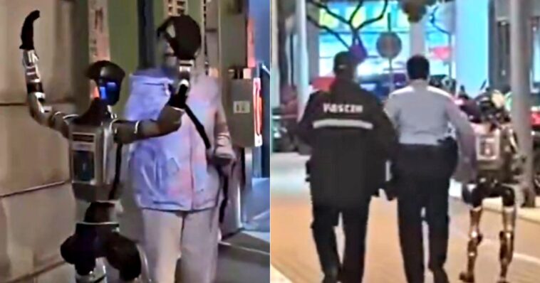 watch:-first-‘robot-arrest’-takes-place-in-china-after-droid-harasses-elderly-woman-in-the-streets