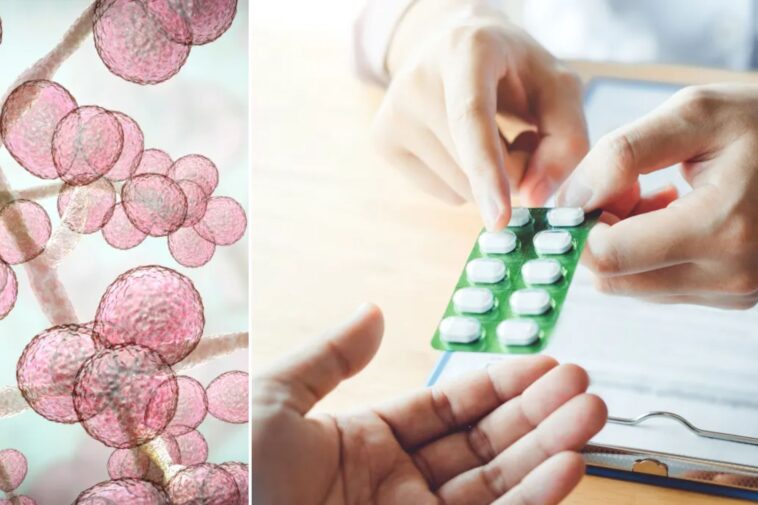 inside-new-york’s-‘superbug’-crisis-—-and-the-bad-habit-that’s-fueling-antibiotic-resistance