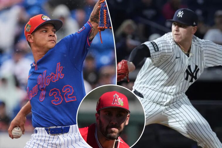 how-the-yankees-and-mets-joined-in-investing-in-fresh-chances-for-upside-pitchers