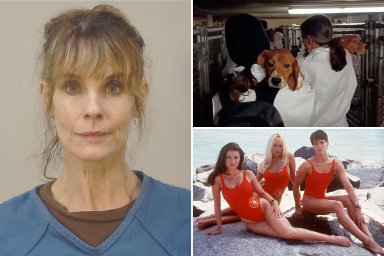 ‘baywatch’-actress-alexandra-paul-arrested-for-freeing-beagles-in-animal-rights-protest