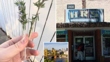 video-of-man-scoring-free-crack-pipes-near-calif.-state-capitol-sparks-outrage