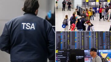 airports-could-be-forced-into-doomsday-scenario-if-dem-dhs-shutdown-drags-on:-‘we’re-fully-stretched’