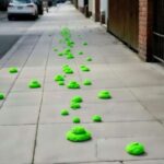 san-francisco-celebrates-st.-patrick’s-day-by-adding-green-dye-to-sidewalk-poop