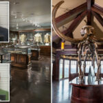 california-pals-smash-10,000-year-old-mammoth-tusk-worth-a-fortune-while-roughhousing-in-missouri-museum