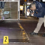 off-duty-nypd-cop-shoots-man-in-the-head-after-tracking-his-wife’s-stolen-car:-sources