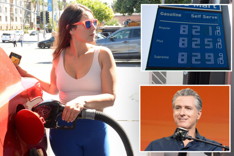 gop-senator-pitches-plan-to-slash-california’s-sky-high-gas-taxes-—-and-save-drivers-more-than-$1-per-gallon