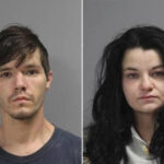 owner-of-texas-animal-rescue-accused-of-starving-80-dogs-in-her-care-—-more-than-100-feared-dead