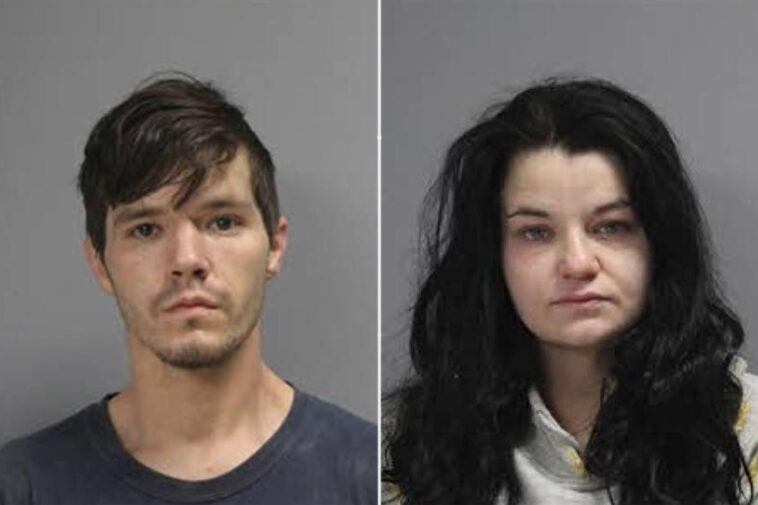 owner-of-texas-animal-rescue-accused-of-starving-80-dogs-in-her-care-—-more-than-100-feared-dead