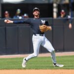 ryan-mcmahon’s-defense-likely-adding-flexibility-to-yankees’-roster-construction
