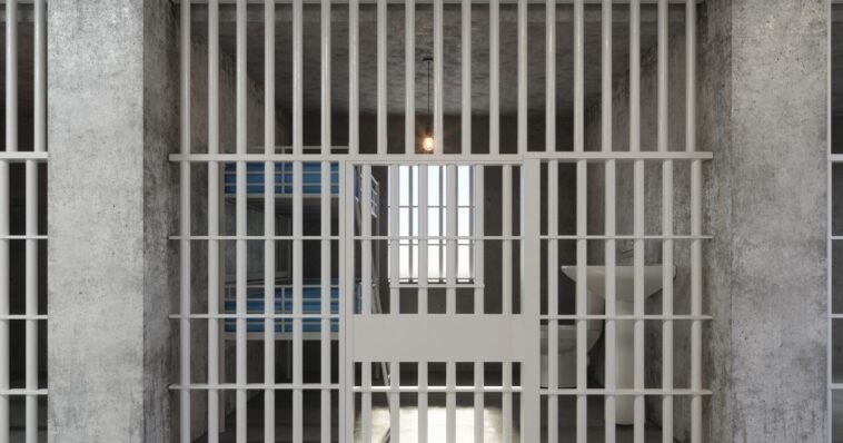 grandma-arrested,-jailed-5-months-after-ai-facial-recognition-error-–-lost-home,-car,-and-dog-in-massive-criminal-justice-failure