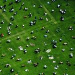 population-panic-pushed-deadly-policies-—-the-truth-finally-comes-out