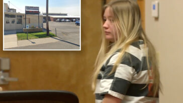 married-teacher-admits-having-sex-with-16-year-old-student-in-school-closet-—-and-even-in-the-bushes