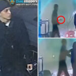 chilling-surveillance-shows-stranger-slashing-nyc-mom-on-way-to-bus-stop-as-nypd-hunts-for-creep